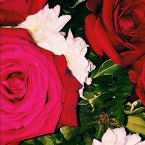 Meet your Posher, Karaline